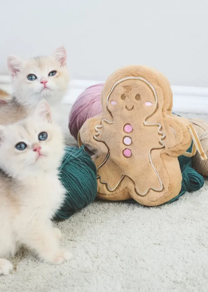Borsa per biscotti di pan di zenzero Borsa per biscotti di pan di zenzero