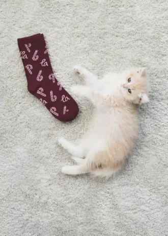 Confezione da 2 calzini con stampa natalizia