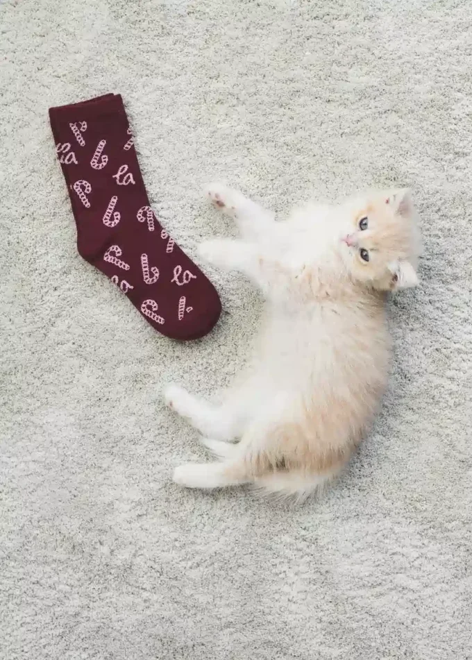 Confezione da 2 calzini con stampa natalizia Confezione da 2 calzini con stampa natalizia