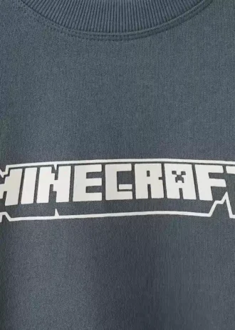 Felpa Minecraft