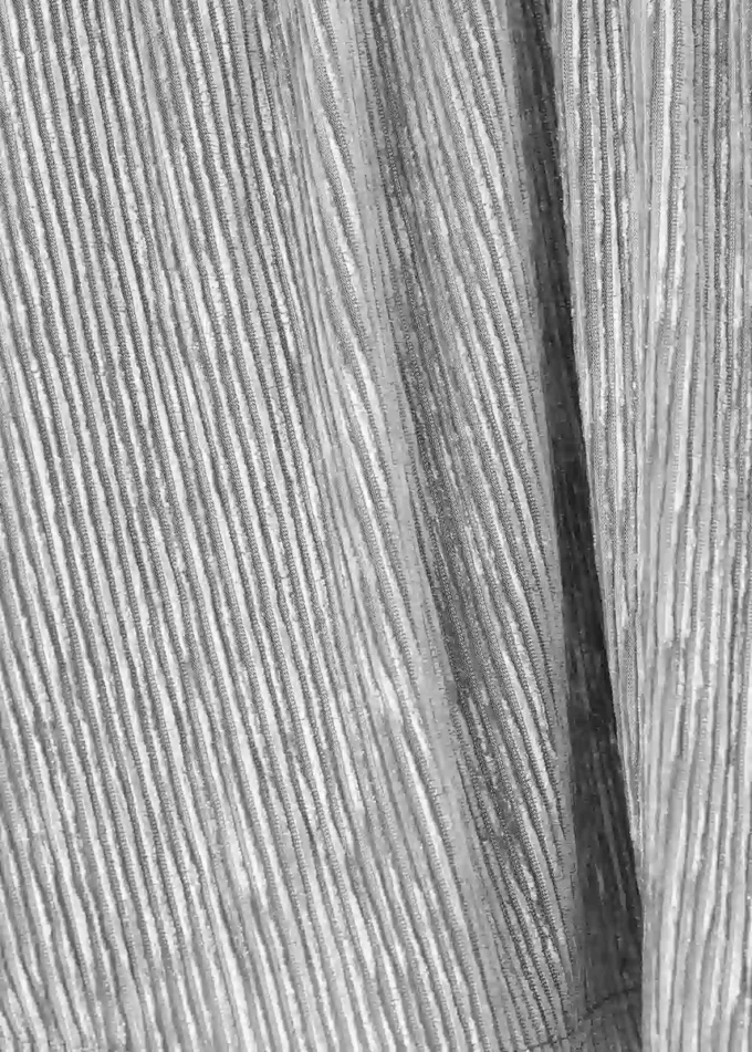 Gonna metallizzata a pieghe Gonna metallizzata a pieghe