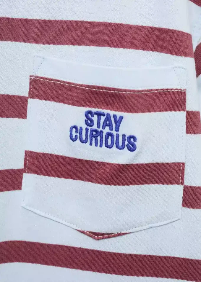 T-shirt a righe con dettagli ricamati T-shirt a righe con dettagli ricamati